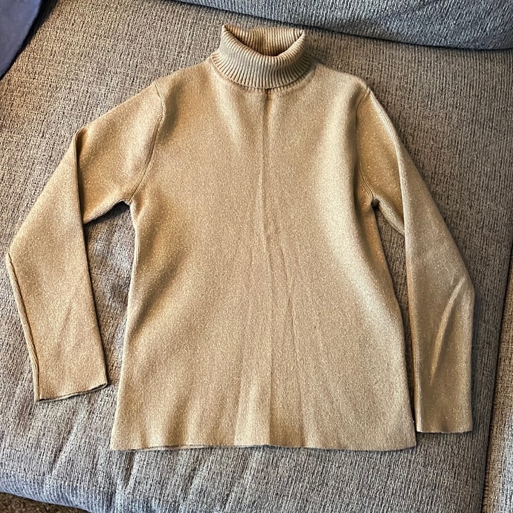 Girls turtle neck sweater